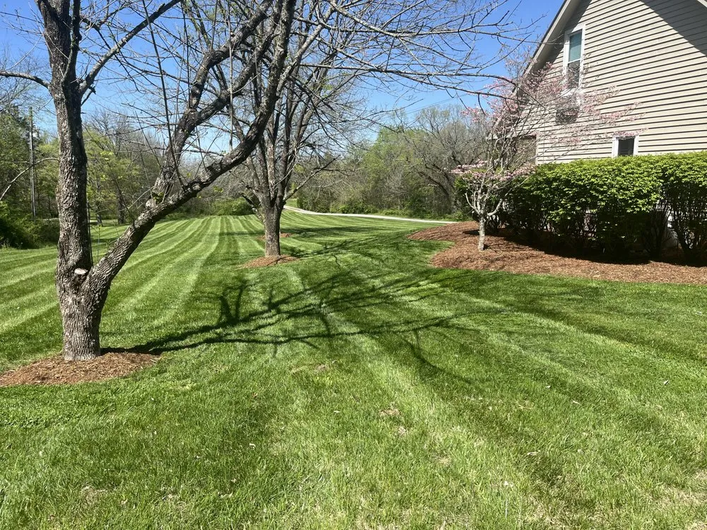 Reliable outdoor landscaping for beautiful yards in Columbia, TN by Green Thumb Lawncare n Landscape