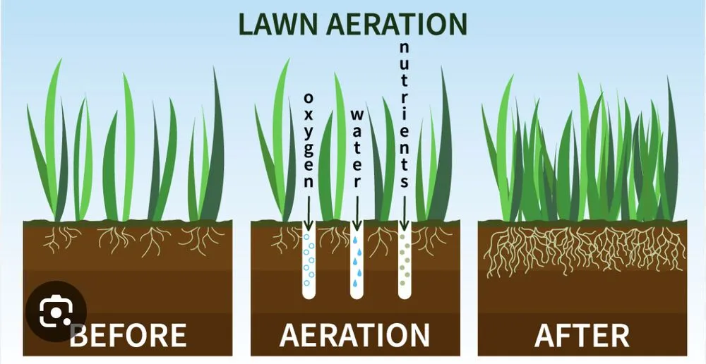 Professional outdoor landscaping for residential properties across Columbia, TN - Green Thumb Lawncare n Landscape