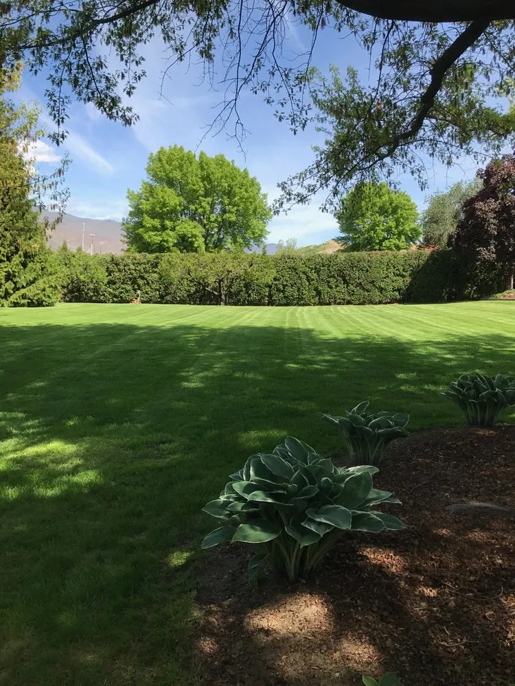 Reliable residential landscaping in Rock Island, WA by Green Thumb Lawncare