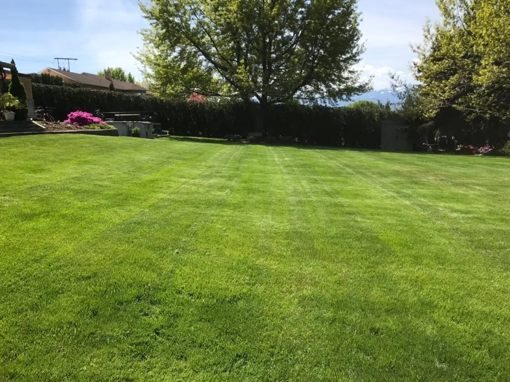Affordable landscape design for residential properties in Rock Island, WA by Green Thumb Lawncare