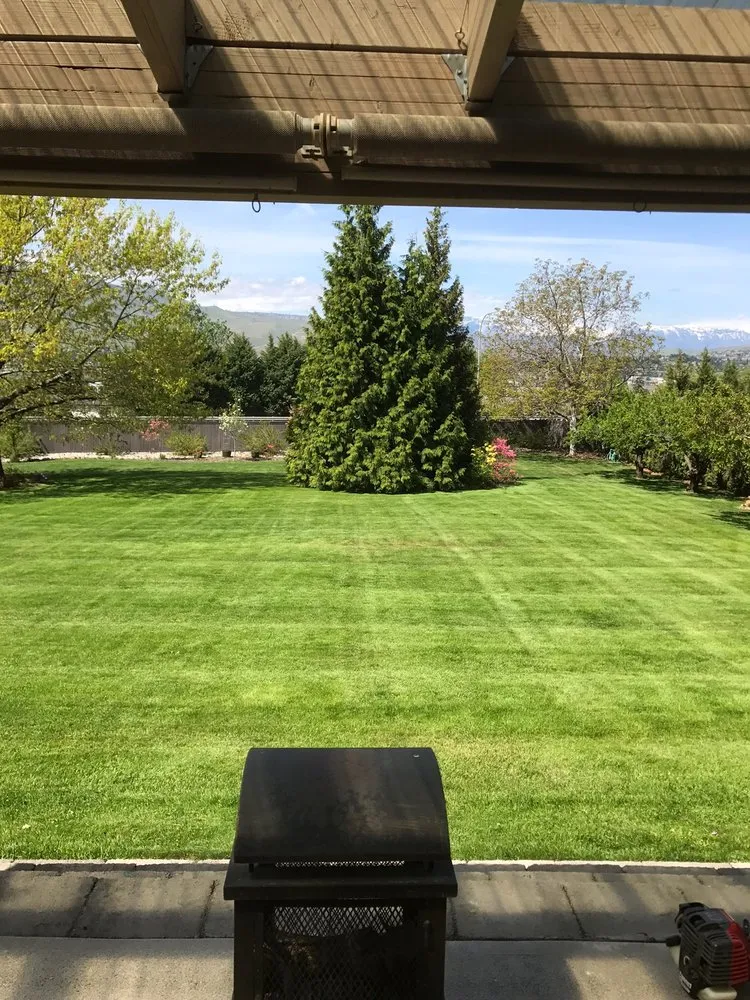 Reliable yard maintenance experts serving Rock Island, WA - Green Thumb Lawncare
