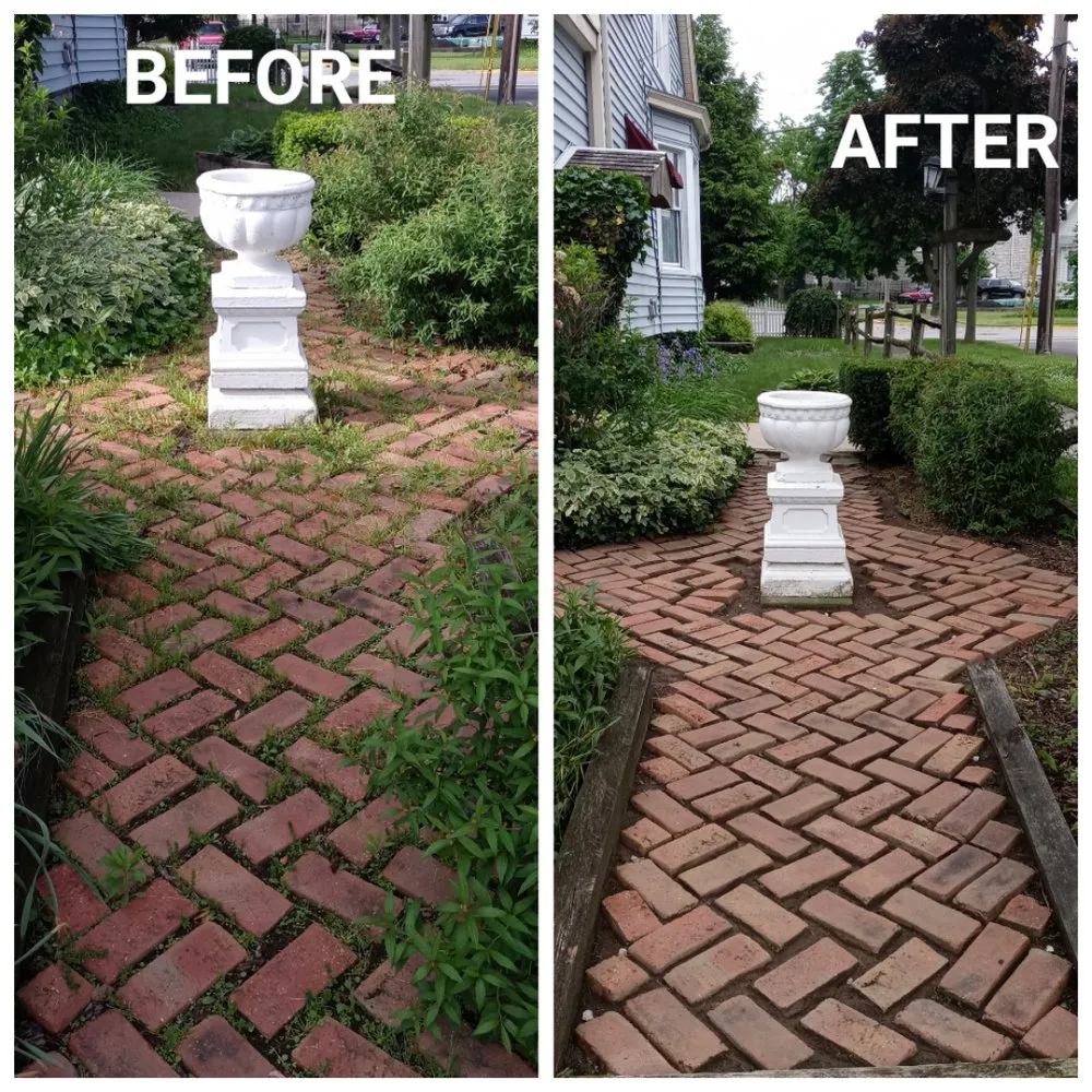 Trusted lawn care service experts serving Sandusky, OH - Green Thumb Mobile Maintenance