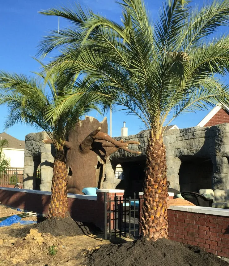 Reliable landscape installation in Beaumont, TX - Green Thumb Nursery & Landscaping
