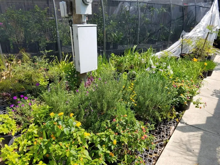 Trusted outdoor landscaping near you in Beaumont, TX by Green Thumb Nursery & Landscaping