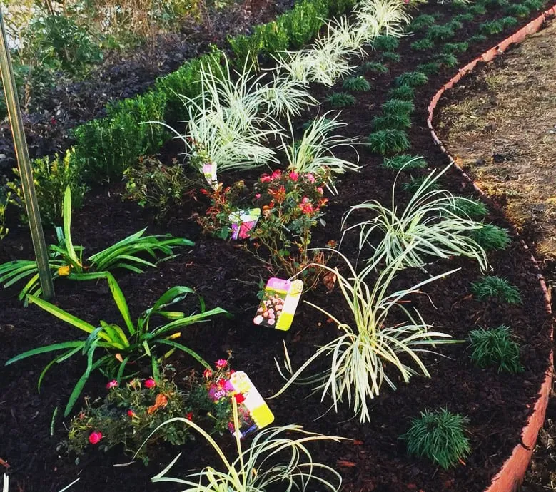 Local landscape design in Beaumont, TX by Green Thumb Nursery & Landscaping
