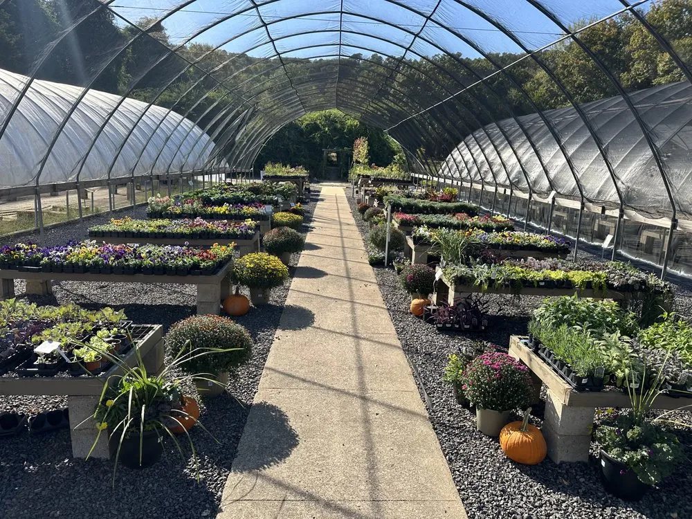 Expert yard cleanup service experts serving Russellville, AR - Green Thumb Nursery