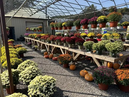 Green Thumb Nursery