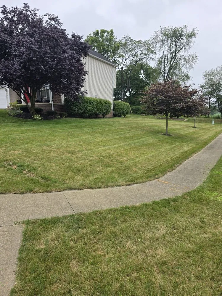 Top-rated landscaping services experts serving Massillon, OH - Green Thumb Pennington