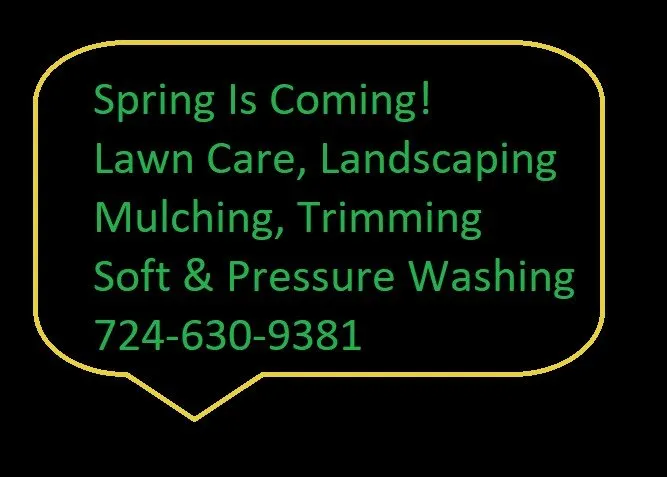 Expert outdoor landscaping with custom design in Aliquippa, PA by Green Thumb Pittsburgh