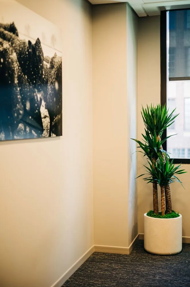 Affordable landscape installation in Loveland, CO by Green Thumb Plantscape