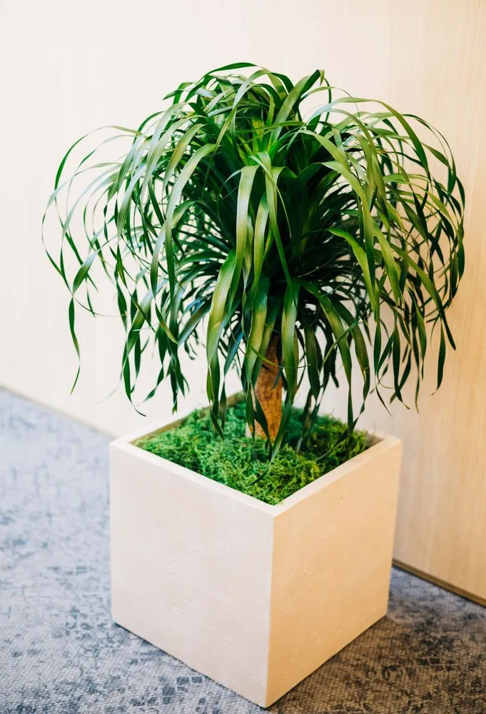 Top-rated outdoor landscaping experts serving Loveland, CO - Green Thumb Plantscape