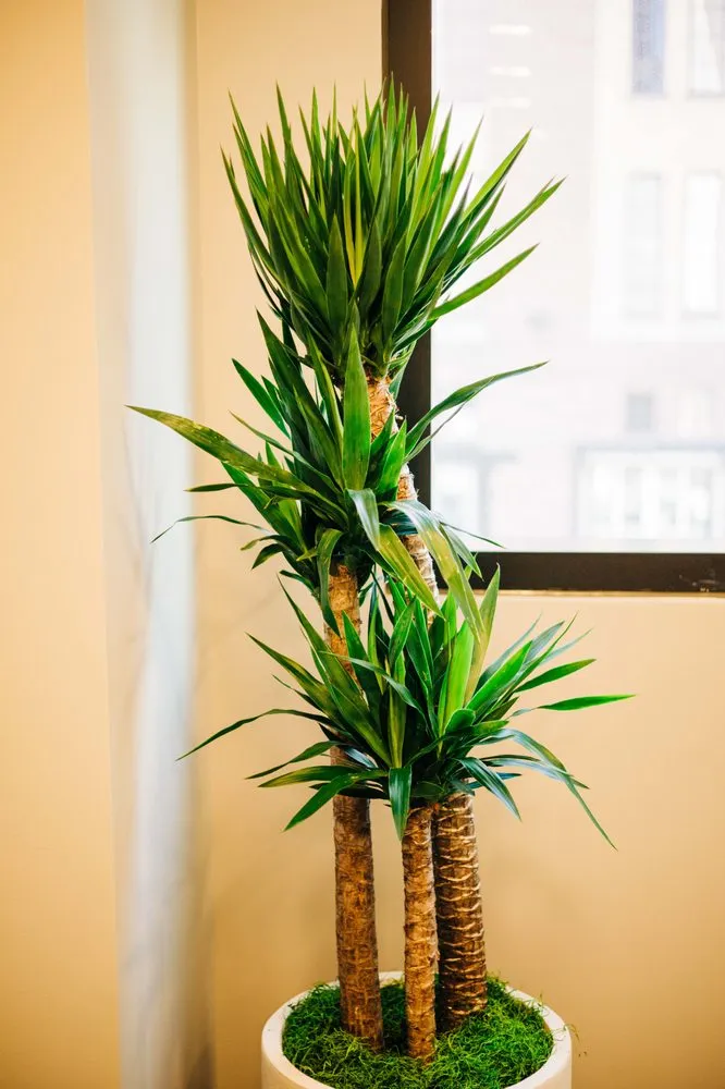 Affordable outdoor landscaping experts serving Loveland, CO - Green Thumb Plantscape