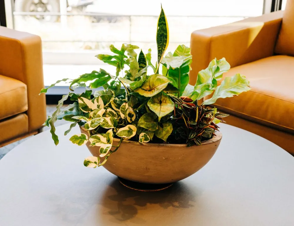 Professional landscape installation in Loveland, CO - Green Thumb Plantscape