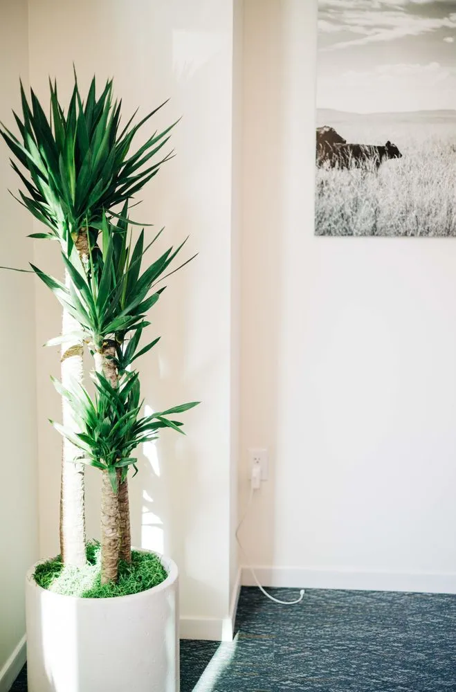 Professional outdoor landscaping in Loveland, CO by Green Thumb Plantscape