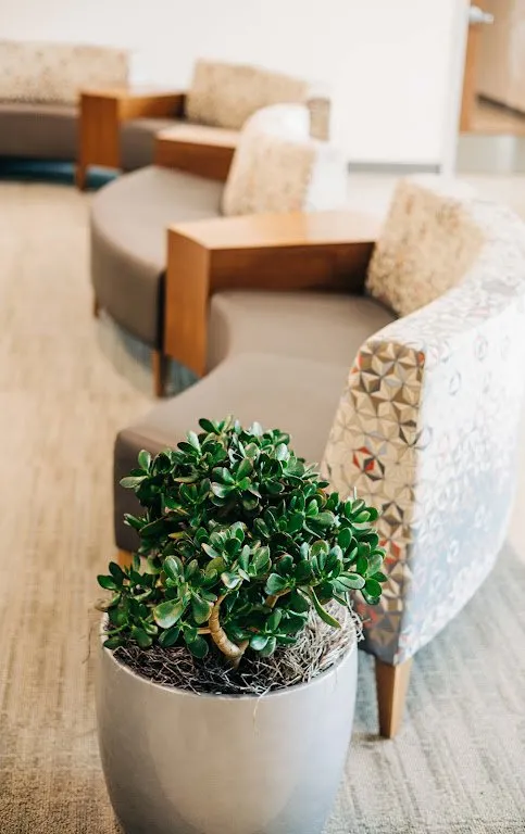 Trusted lawn mowing service for beautiful yards in Loveland, CO by Green Thumb Plantscape