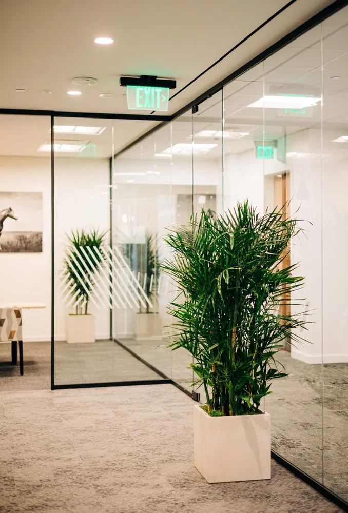 Affordable lawn care service for beautiful yards across Loveland, CO - Green Thumb Plantscape