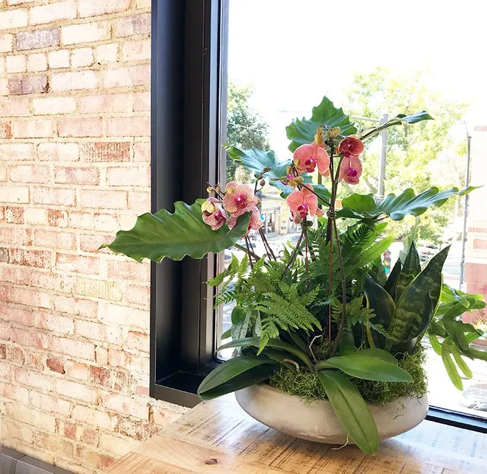 Professional landscape design in Loveland, CO by Green Thumb Plantscape