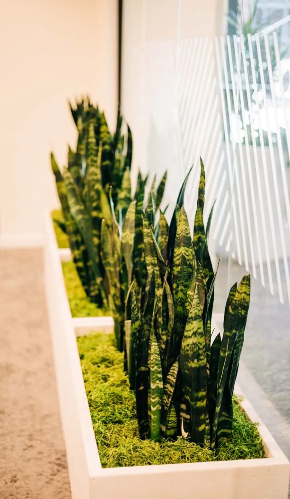 Expert yard cleanup service for homes across Loveland, CO - Green Thumb Plantscape