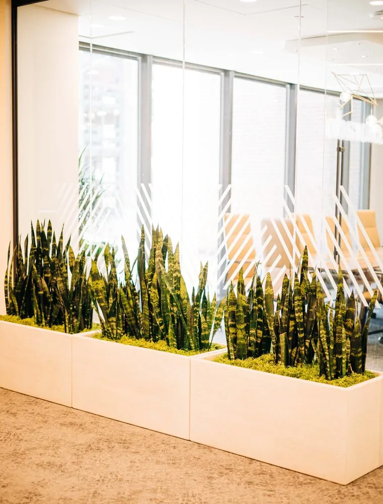 Local landscaping services in Loveland, CO by Green Thumb Plantscape