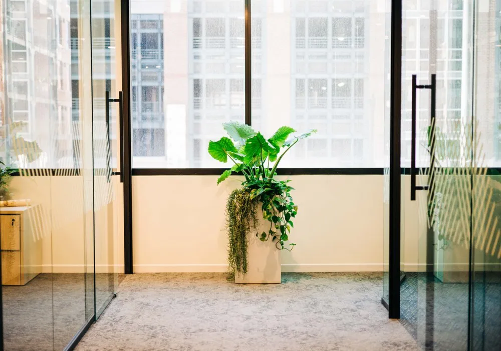 Affordable yard cleanup service in Loveland, CO by Green Thumb Plantscape