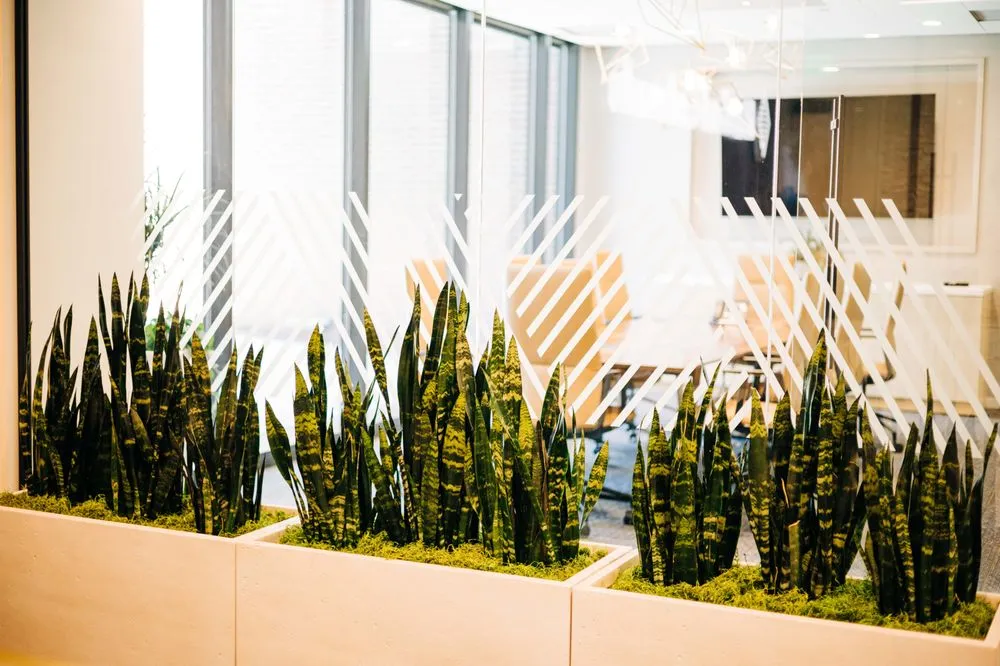 Trusted lawn mowing service experts serving Loveland, CO - Green Thumb Plantscape