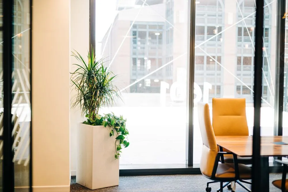 Top-rated landscaping services in Loveland, CO - Green Thumb Plantscape