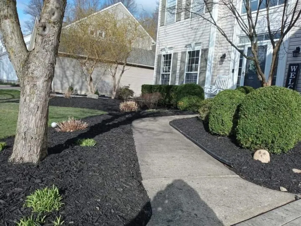 Custom landscaping services in Lorain, OH - Green Thumb Services