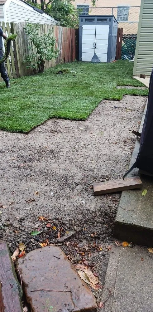 Custom yard cleanup service experts serving Lorain, OH - Green Thumb Services