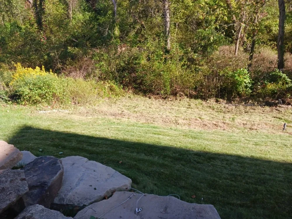 Custom landscaping services experts serving Lorain, OH - Green Thumb Services