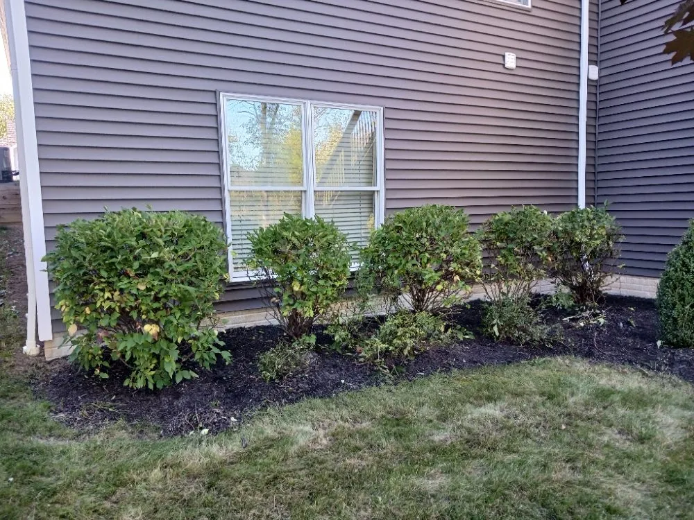 Professional landscaping services with custom design in Lorain, OH by Green Thumb Services