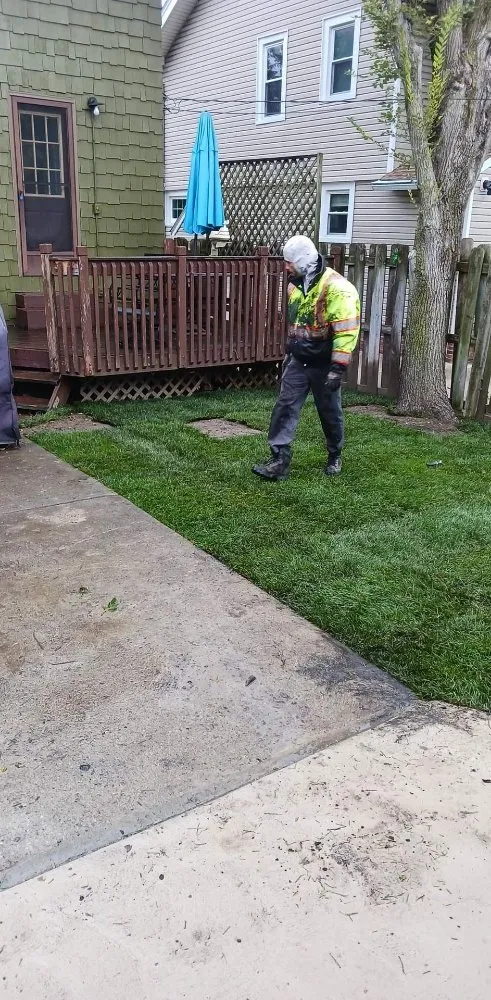 Reliable yard maintenance with custom design in Lorain, OH by Green Thumb Services