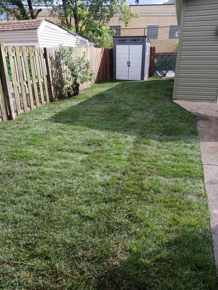 Reliable lawn mowing service in Lorain, OH - Green Thumb Services