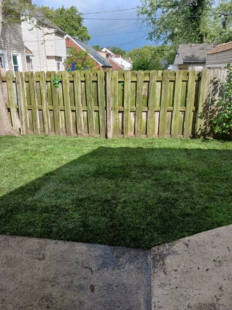 Trusted landscape design in Lorain, OH by Green Thumb Services