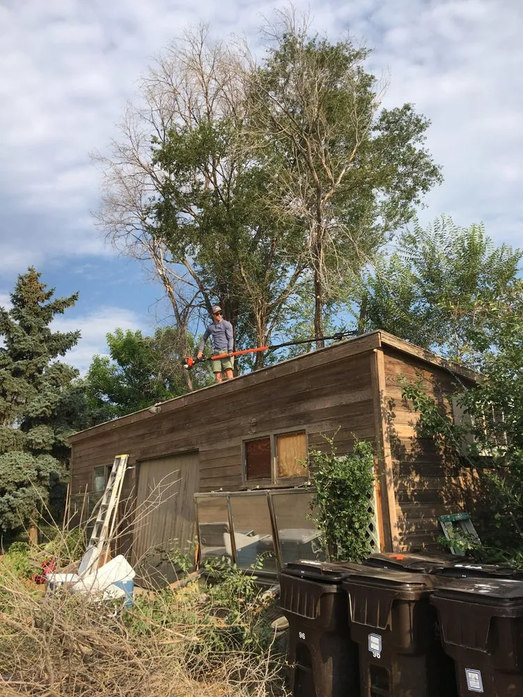 Local lawn mowing service for homes across Boulder, CO - Green Thumb Snow Removal & Lawn Care