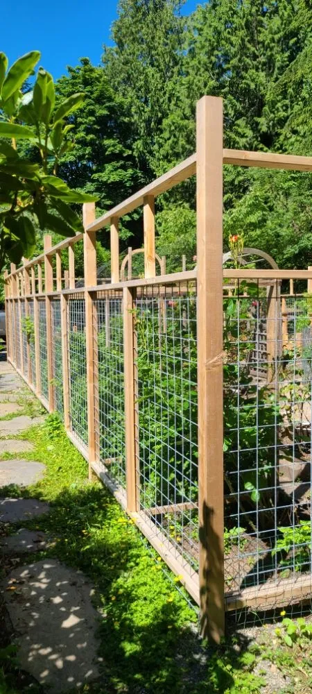 Local landscape installation experts serving Bainbridge Island, WA - Green Thumb Solutions