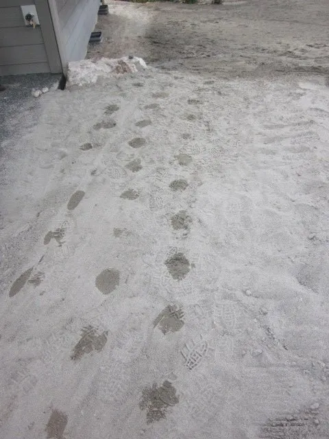 Local lawn care service in Bainbridge Island, WA - Green Thumb Solutions