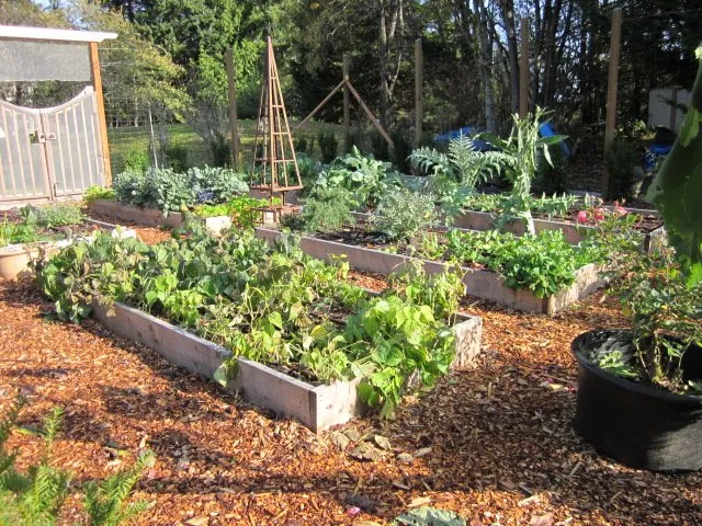 Reliable lawn care service in Bainbridge Island, WA by Green Thumb Solutions