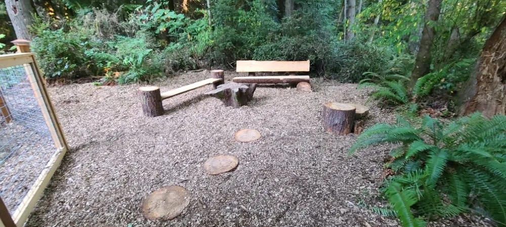 Reliable yard cleanup service in Bainbridge Island, WA - Green Thumb Solutions