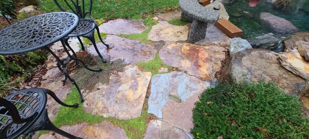 Top-rated yard cleanup service in Bainbridge Island, WA - Green Thumb Solutions