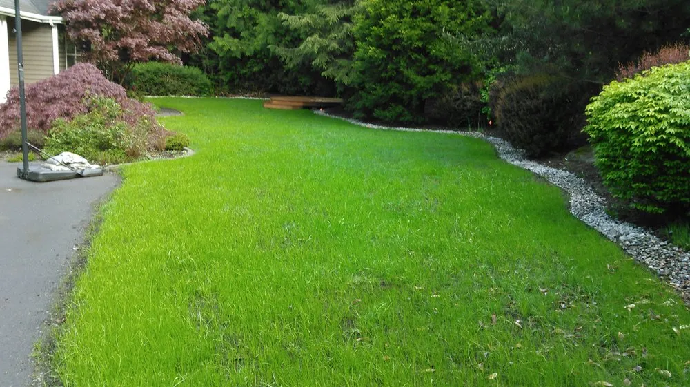 Reliable lawn care service for homes in Bainbridge Island, WA by Green Thumb Solutions