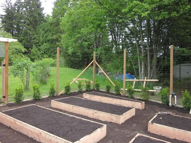 Trusted yard cleanup service experts serving Bainbridge Island, WA - Green Thumb Solutions