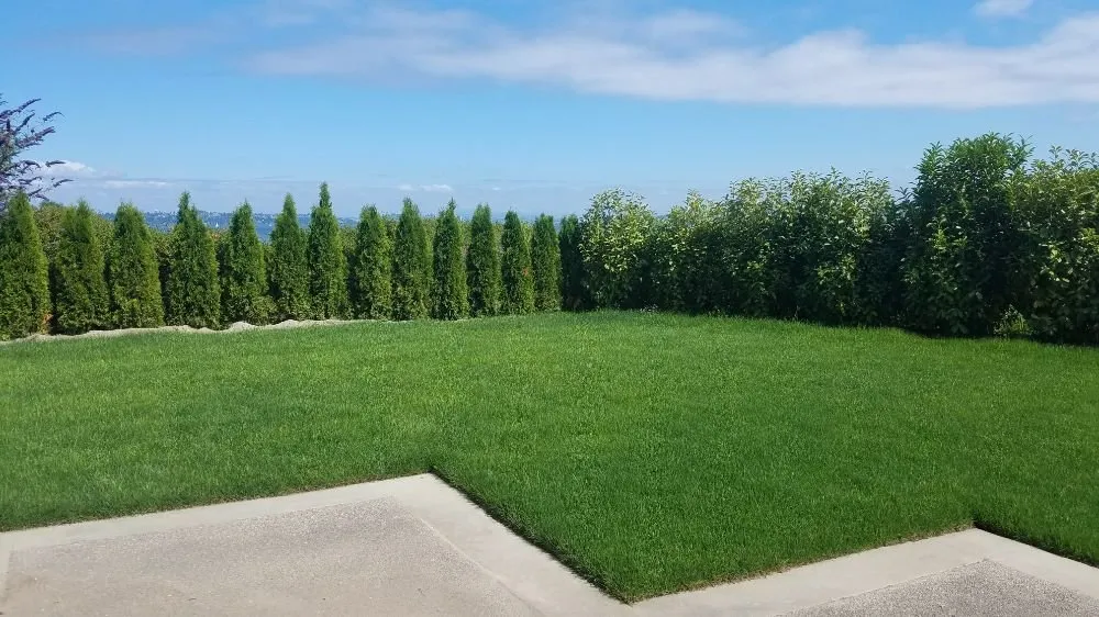 Reliable landscaping services for homes in Bainbridge Island, WA by Green Thumb Solutions