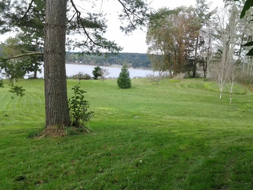 Top-rated yard cleanup service experts serving Bainbridge Island, WA - Green Thumb Solutions