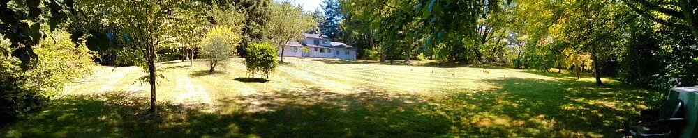 Local lawn mowing service for year-round maintenance in Bainbridge Island, WA by Green Thumb Solutions