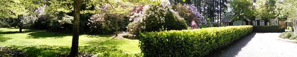 Top-rated lawn care service in Bainbridge Island, WA by Green Thumb Solutions