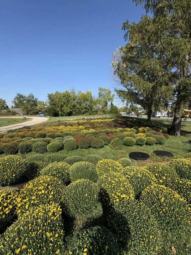 Local garden landscaping for homes across Columbus, OH - Green Thumb Solutions