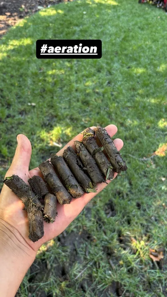 Expert landscape design in Columbus, OH by Green Thumb Solutions