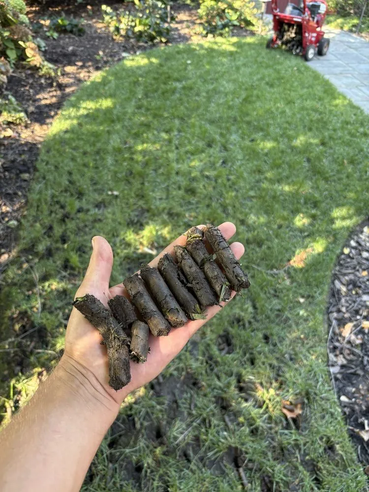 Affordable lawn care service near you in Columbus, OH by Green Thumb Solutions