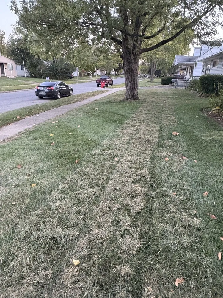 Affordable landscape design for year-round maintenance across Columbus, OH - Green Thumb Solutions