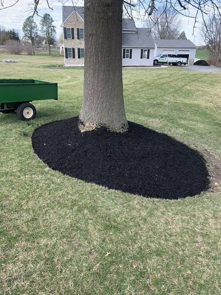 Expert yard cleanup service in Oxford, PA by Green Thumb Solutions